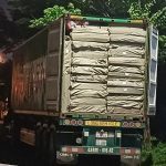 hàng nhập nguyên conteiner của Công ty Thiết bị mầm non Đạt Phương